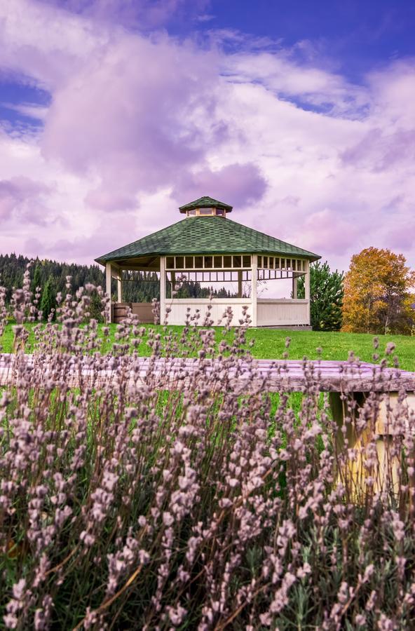 The Provence Village Bukovinka Exterior foto